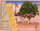 浜菱連納札会「横浜名所絵」(1917年・岡コレクション)の「横浜の名木  玉楠」