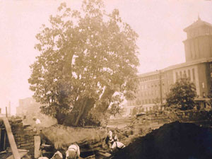 kЂŏĂA݂܂ 1930N