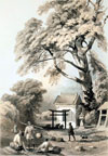 lE_Ђƒ̐X@nClwGraphic Scenes of the Japan Expeditionxi1856j