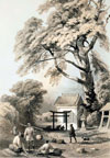 lE_Ђƒ̐X@nClwGraphic Scenes of the Japan Expeditionxi1856j