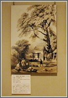 ［絵図］ペリー艦隊の随行画家　ハイネの描いたたまくすの木