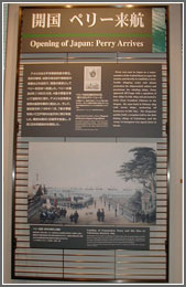 展示物写真