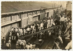 大阪港に入港した横浜発の汽船「ろんどん丸」　1923（大正12）年9月6日　当館蔵